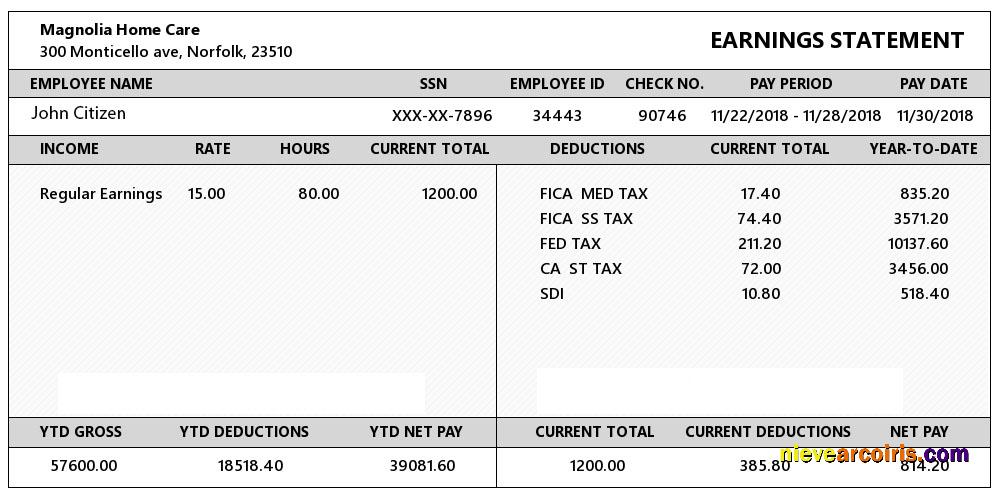 USA VIRGINIA Magnolia Home Care earning statement